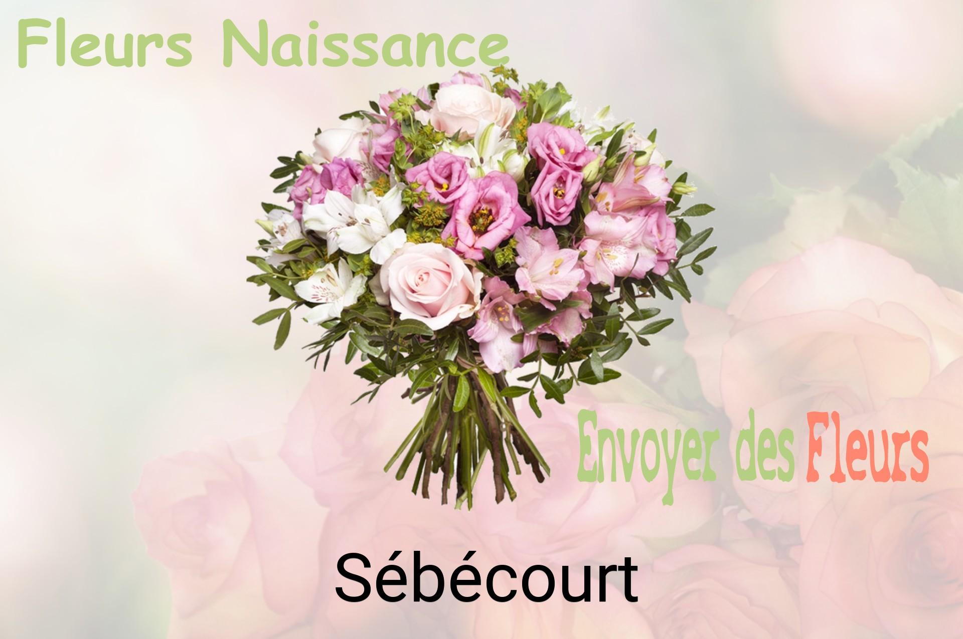 Bouquet de fleurs de naissance livré à Sébécourt